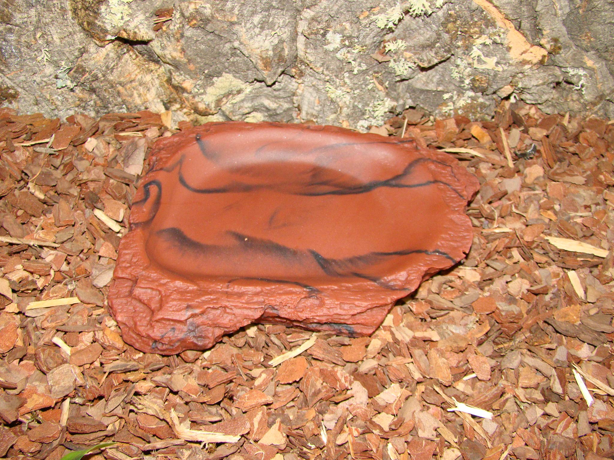 lucky-reptile-turtle-dish-wasserschale-lava-14-x-12-x-2-cm image 2