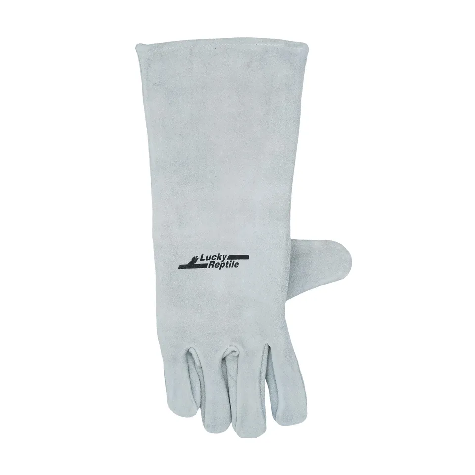 lucky-reptile-schutzhandschuh-leder-grau-rechtsh-nder image 1