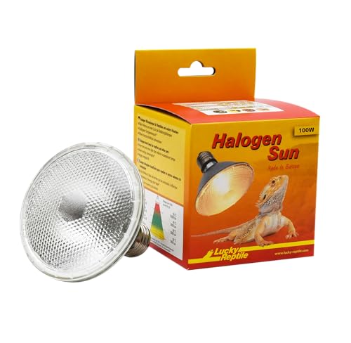 lucky-reptile-halogen-sun-w-rmelampe-100-watt-e27 image 8