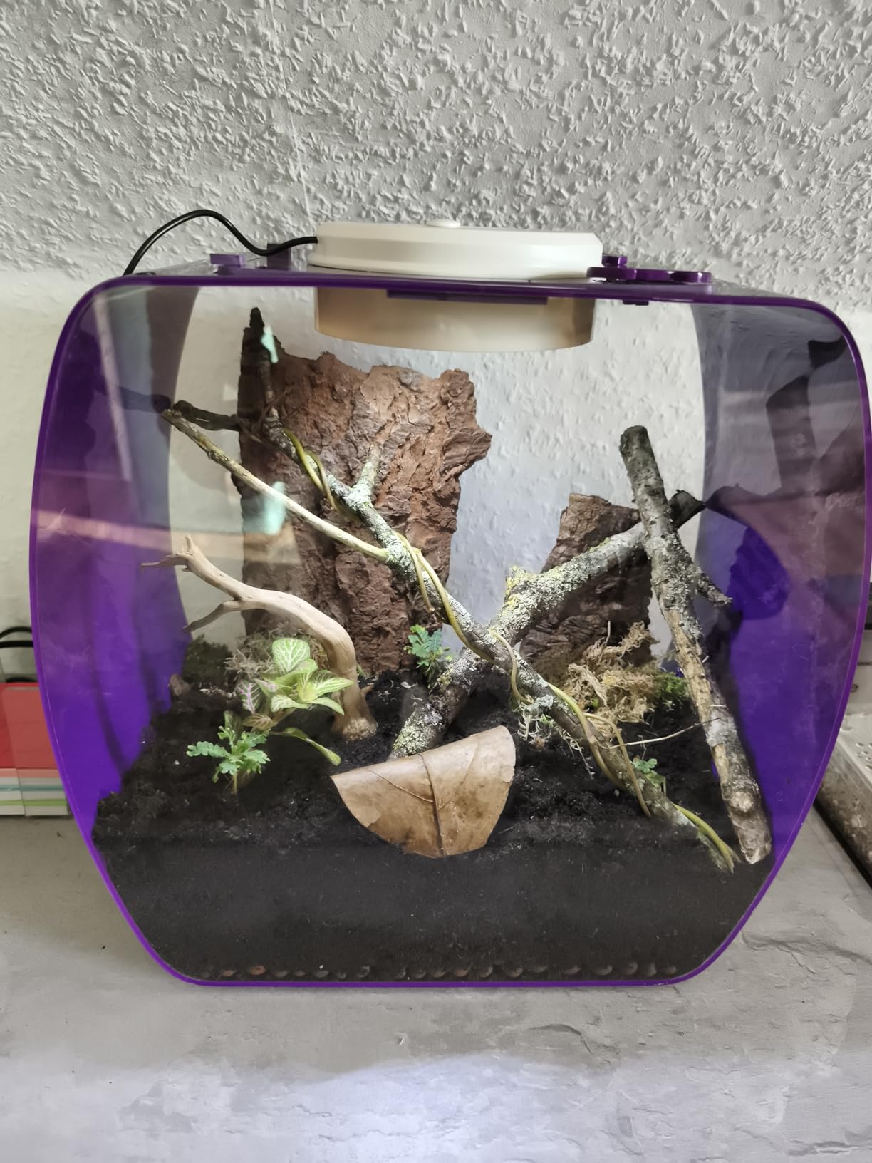 Süße kleine Box