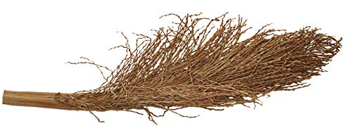 lucky-reptile-palmwedel-palmfackel-30-40-cm-terrarien-deko image 5