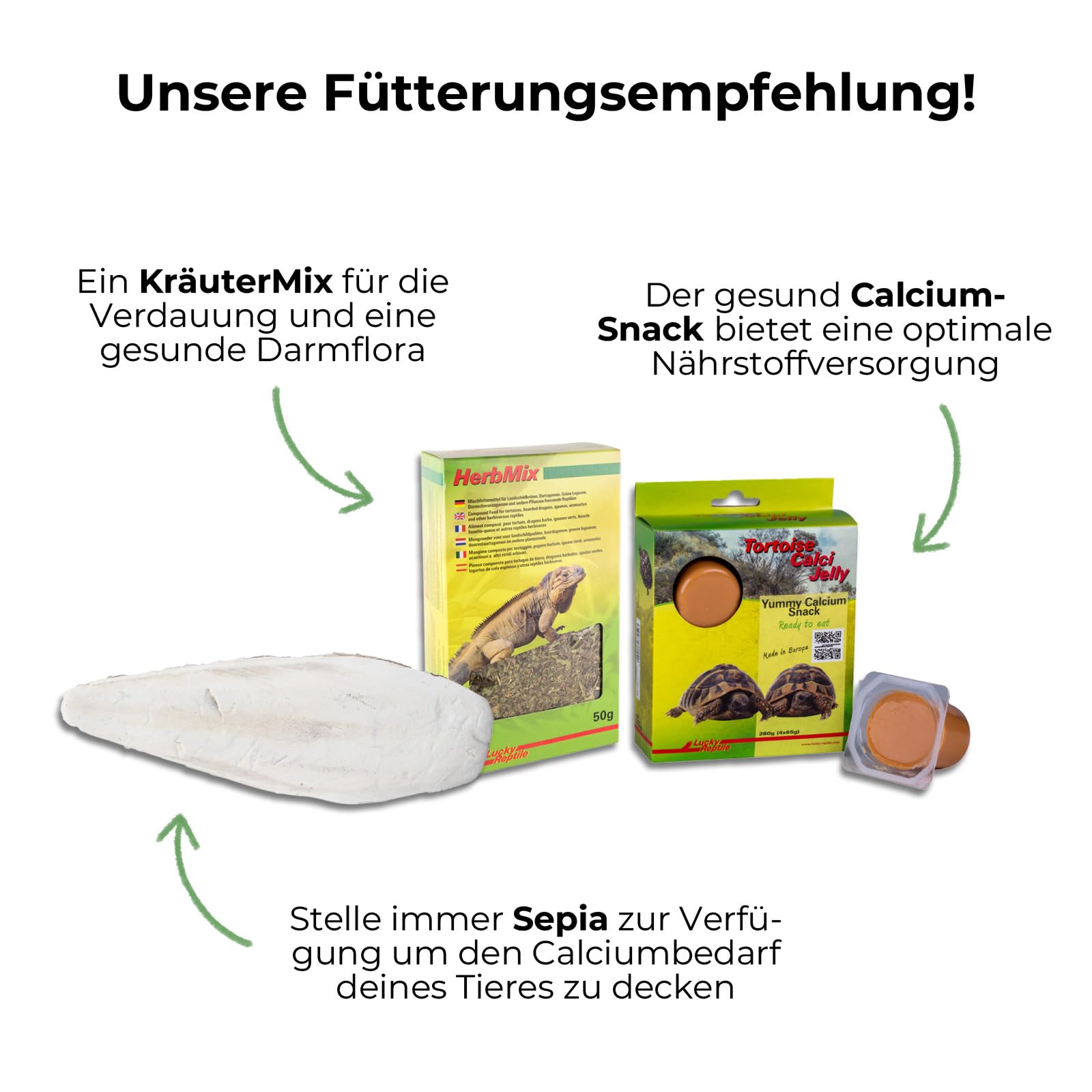 lucky-reptile-tortoise-mix-landschildkr-ten-futter-300-g image 4