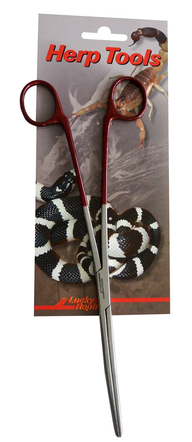lucky-reptile-futterzange-abgewinkelt-20-cm-aus-edelstahl image 1