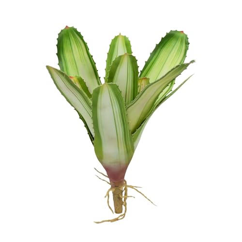 lucky-reptile-scape-it-easy-bromelie-neoregelia-dekopflanze-wei-ca-20-cm image 7