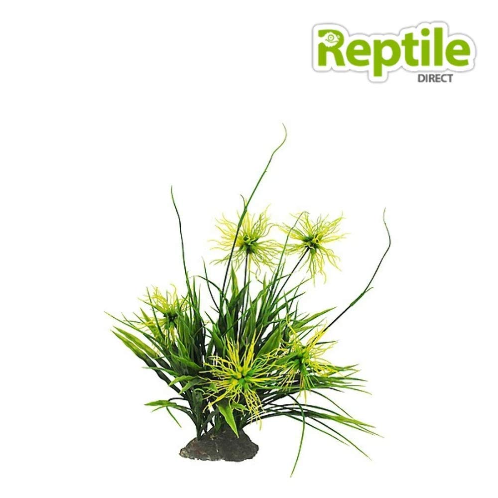lucky-reptile-tiger-aloe-kunstpflanze-ca-8-cm-auf-steinsockel image 2