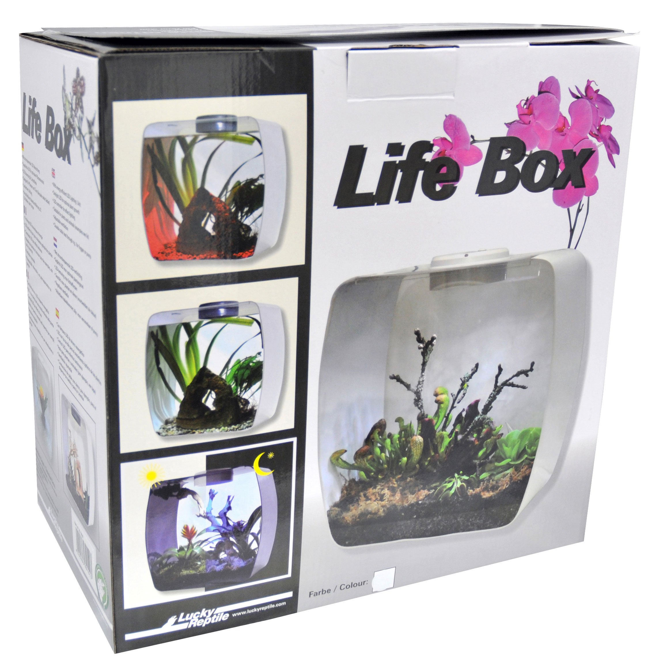 lucky-reptile-life-box-30x18x30-cm-wei-aufzuchtbox-mit-led-und-l-ftung image 5