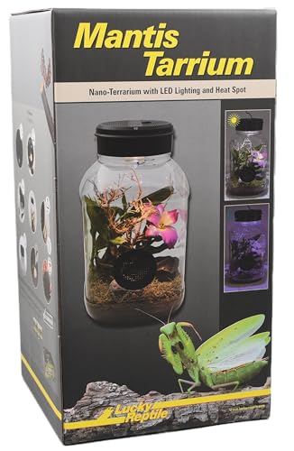 lucky-reptile-mantistarrium-kleinterrarium-18-x-18-x-35-cm-f-r-gottesanbeterinne image 8