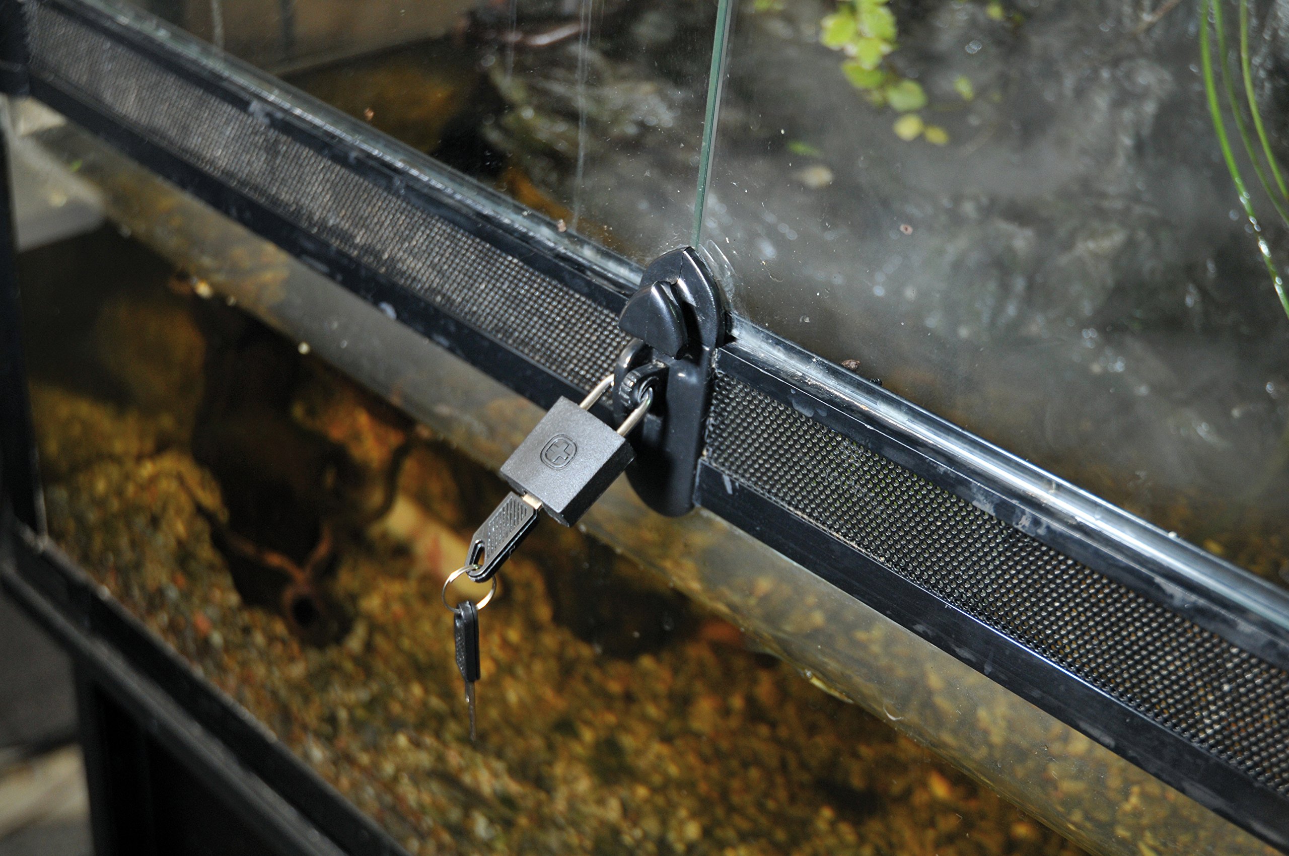 lucky-reptile-tpl-1-terra-padlock-terrarienschloss-kompakt image 3