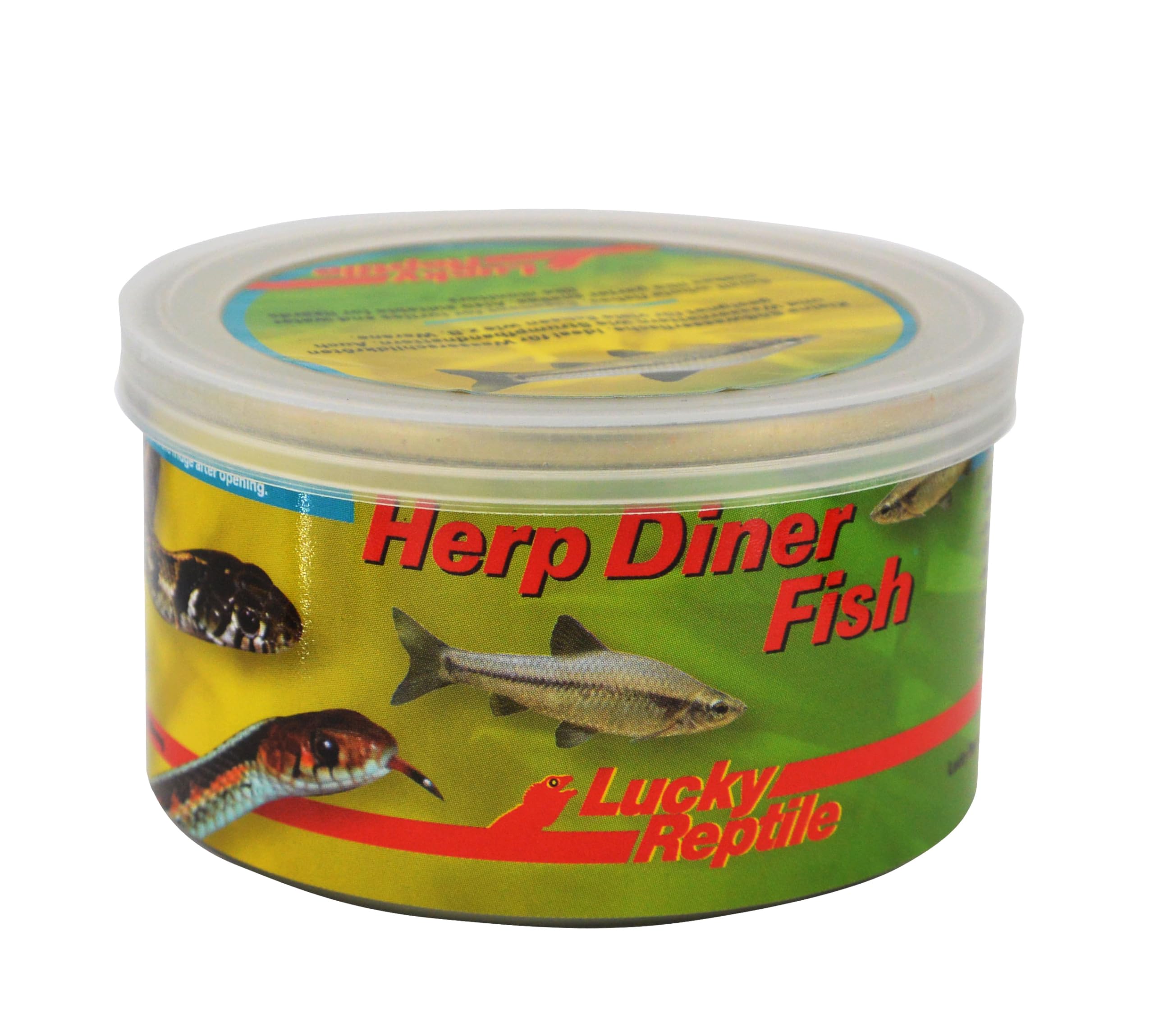 lucky-reptile-herp-diner-superworms-dosenfutter-f-r-reptilien image 3