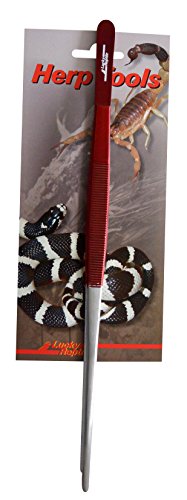 lucky-reptile-futterpinzette-gerade-14-cm-terrarien-pinzette image 7