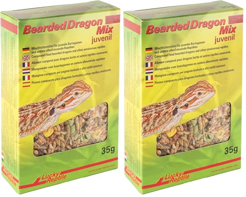 lucky-reptile-bearded-dragon-mix-juvenile-bartagamenfutter-35-g image 5