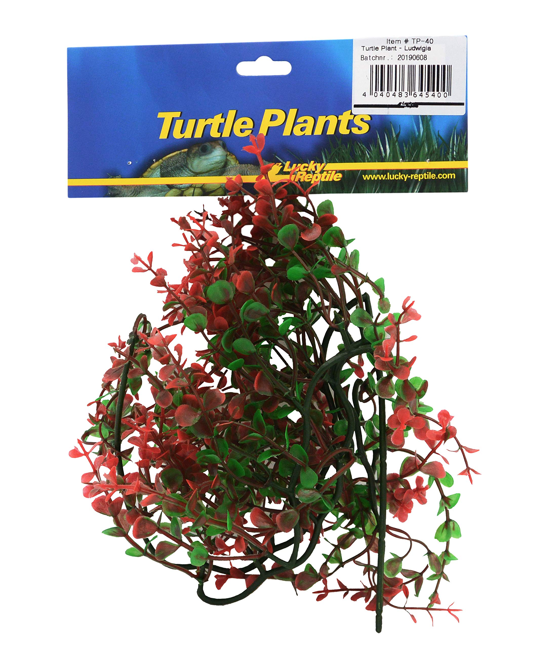 lucky-reptile-turtle-plant-hornkraut-plf042-schwimm-kunstpflanze-47-g image 3