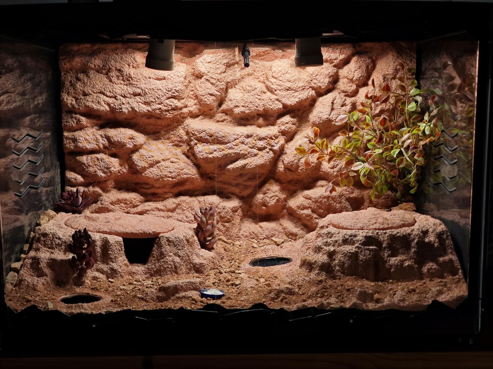 Verwandelt das Terrarium komplett