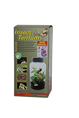 lucky-reptile-insect-tarrium-nanoterrarium-17-7-x-17-5-x-36-cm-mit-led image 5