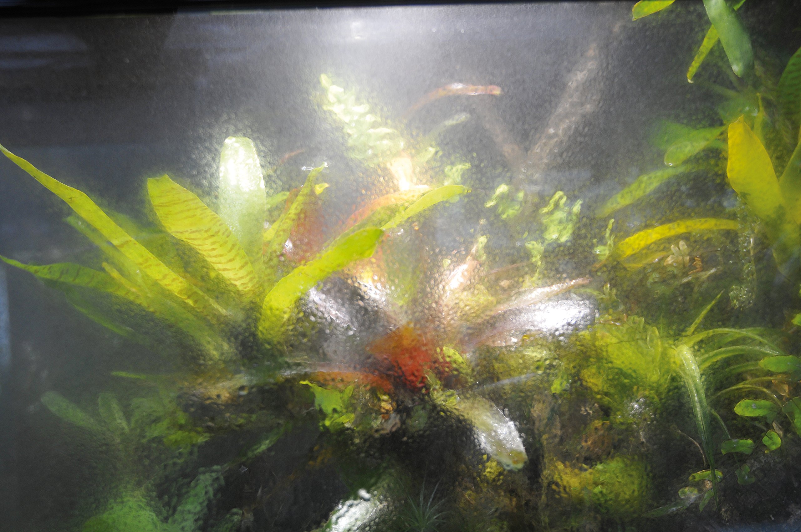 lucky-reptile-terra-fan-zusatzl-fter-temperaturgesteuerte-terrarienl-ftung image 4