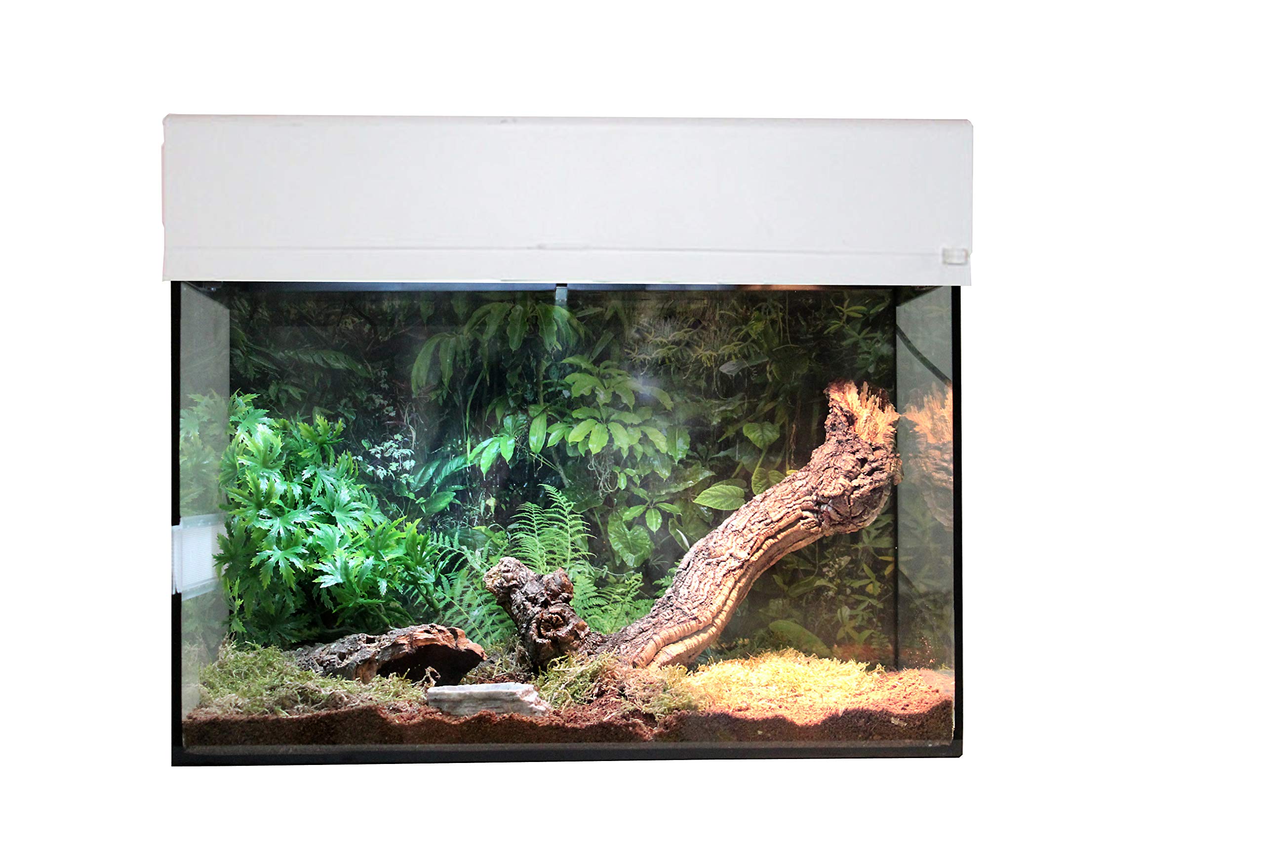 lucky-reptile-starter-kit-vogelspinne-skorpion-schwarz-50x28x40-cm-terrarium-kom image 8