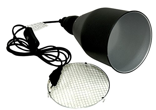 lucky-reptile-thermo-socket-plus-reflector-htrp-2uk-e27-bis-300-w image 7