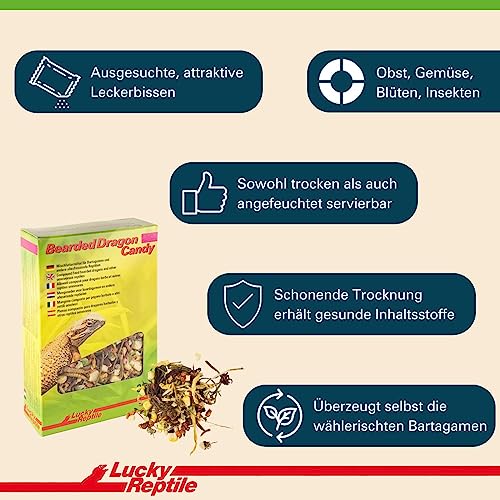 lucky-reptile-bearded-dragon-candy-bartagamen-futter image 8