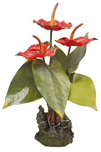 lucky-reptile-if-31-anthurium-kunststoffpflanze-mit-fu-wei image 4