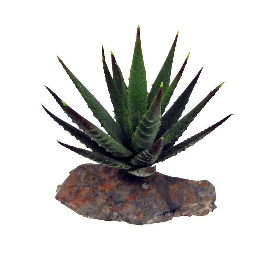 lucky-reptile-tiger-aloe-kunstpflanze-ca-8-cm-auf-steinsockel image 3