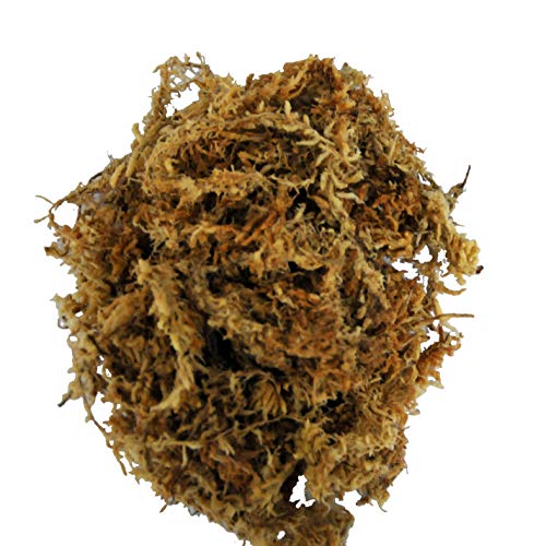lucky-reptile-sphagnum-moos-ziegel-terrarium-substrat-25-liter image 7