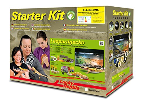 lucky-reptile-starter-kit-leopardgecko-glasterrarium-80-x-40-x-52-cm-wei image 6