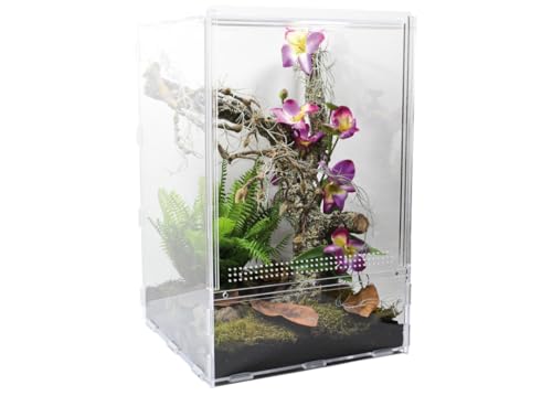 lucky-reptile-lifetarrium-terrarium-30-x-30-x-45-cm image 7