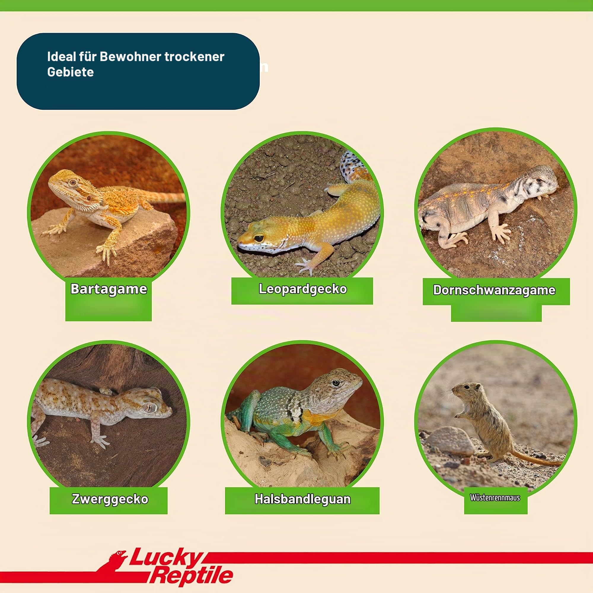 lucky-reptile-desert-bedding-nature-brown-w-stensubstrat-7-liter image 3