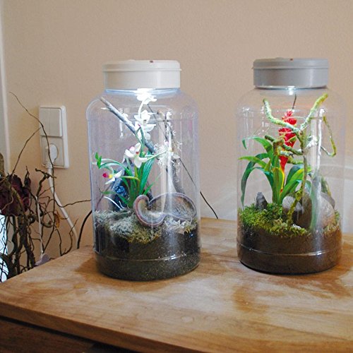 lucky-reptile-insect-tarrium-nanoterrarium-17-7-x-17-5-x-36-cm-mit-led image 4