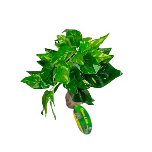 lucky-reptile-scindapsus-gr-n-kunstpflanze-ca-40-cm-auf-steinsockel image 6