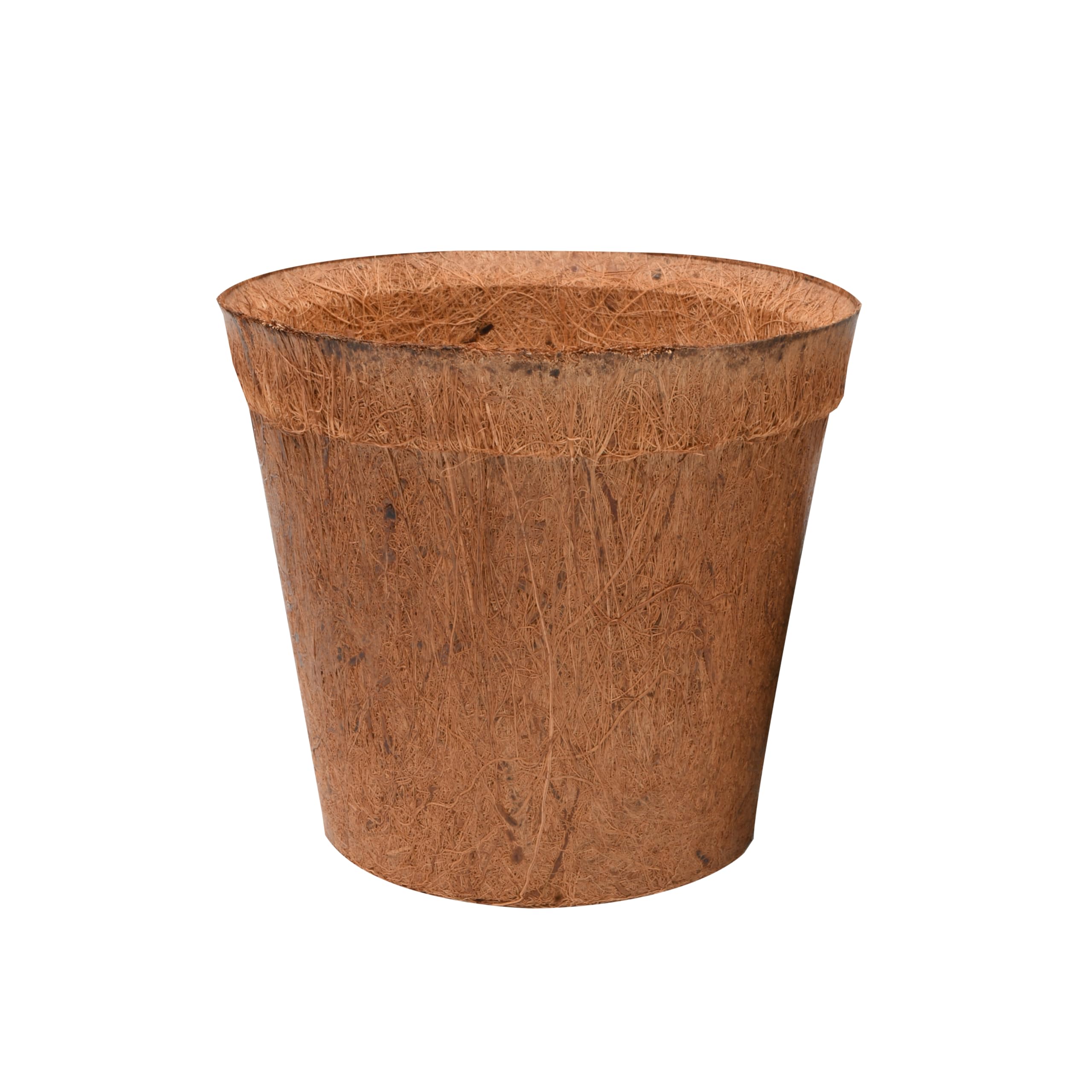 lucky-reptile-coco-planter-kokos-pflanztopf-klein image 2
