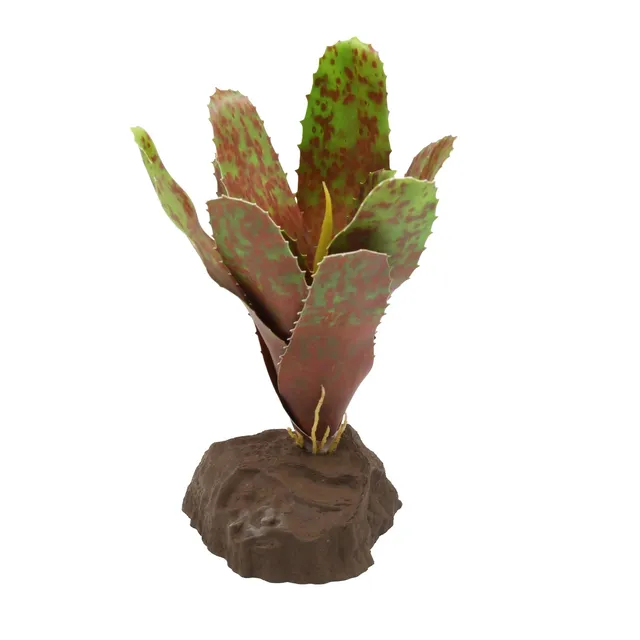 lucky-reptile-scape-it-easy-bromelie-neoregelia-gr-n-ca-20-cm-terrarien-dekopfla image 1
