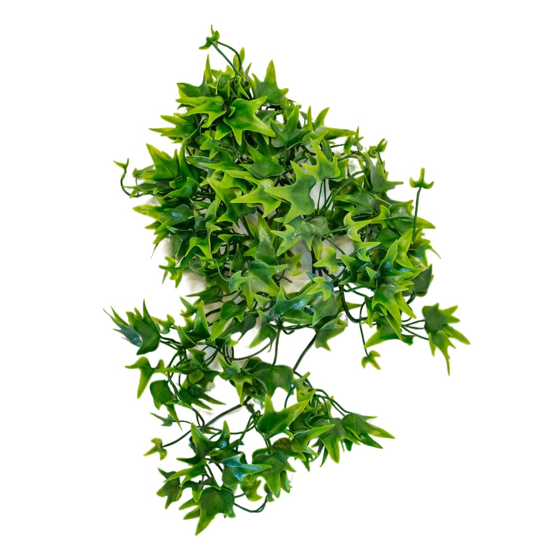 lucky-reptile-64567-efeu-terrarium-h-ngepflanze-150-g-extra-dicht image 1