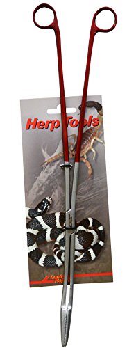 lucky-reptile-futterzange-abgewinkelt-40-cm-terrarien-pinzette image 2