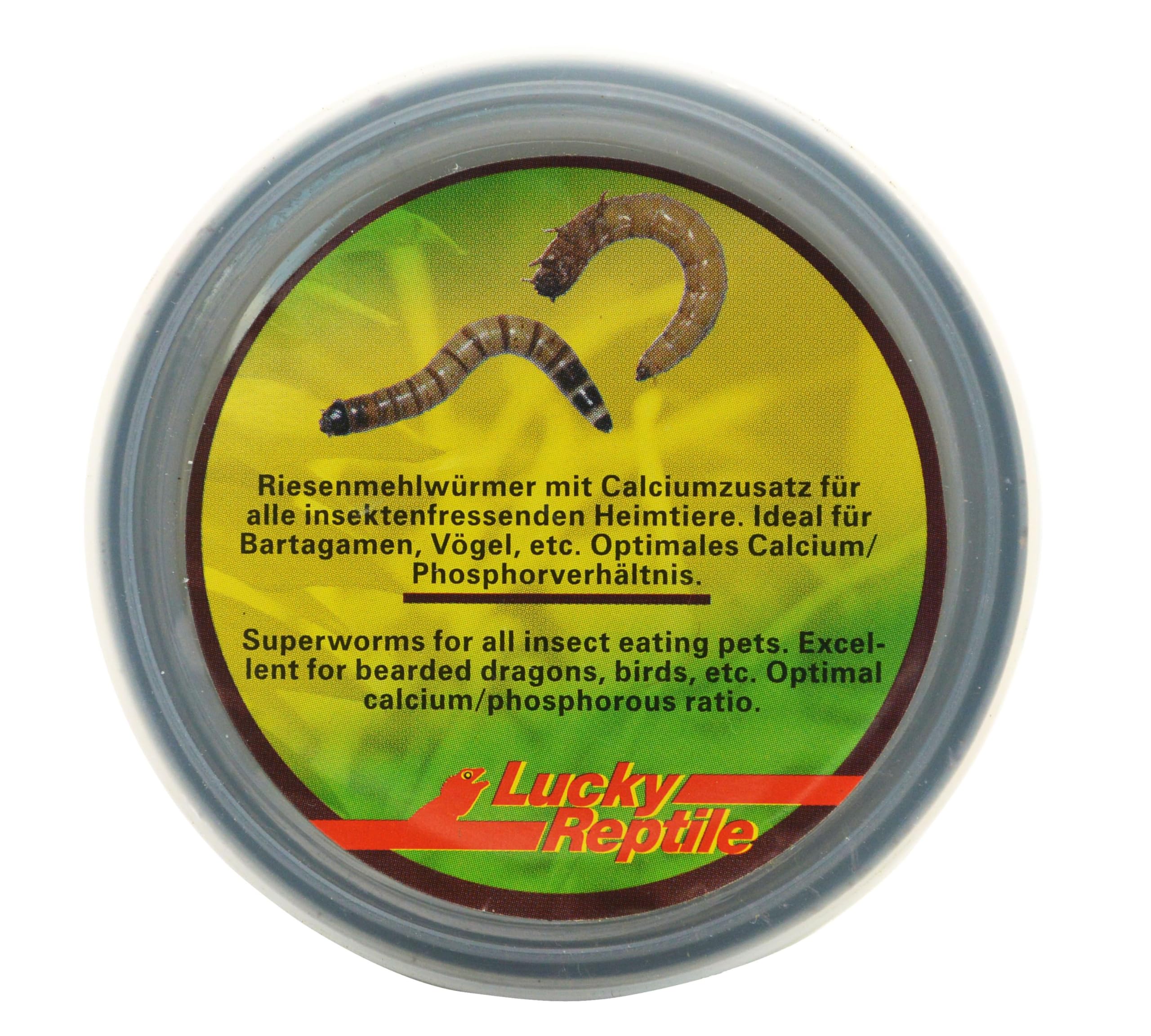 lucky-reptile-herp-diner-superworms-dosenfutter-f-r-reptilien image 2