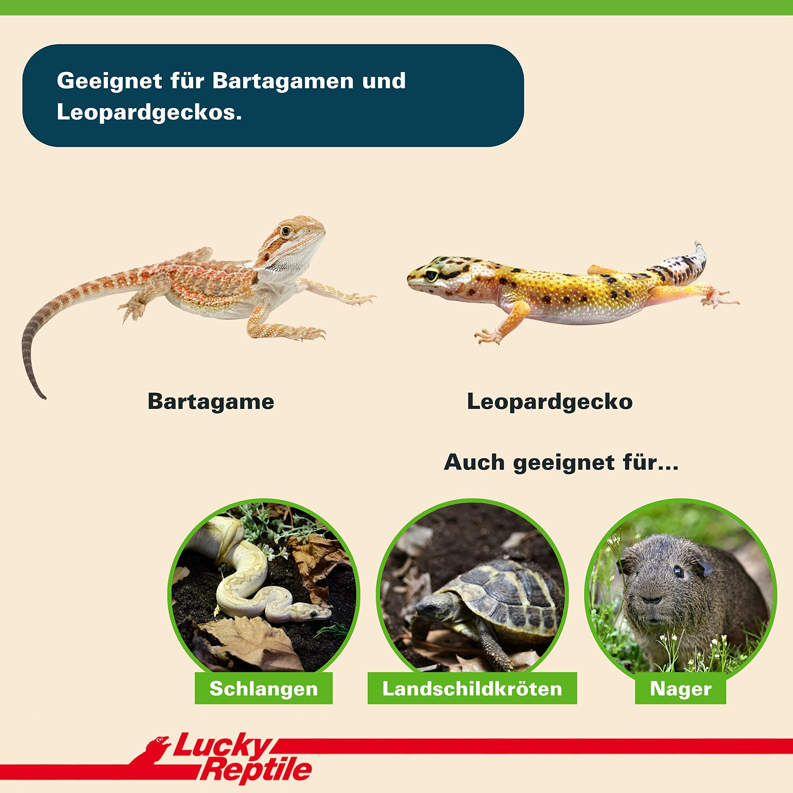 lucky-reptile-cannabis-bedding-hanfstreu-4-l-saugf-higes-natur-einstreu-f-r-rept image 3