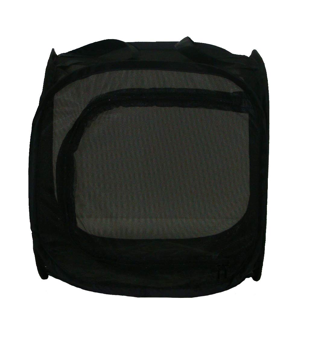lucky-reptile-openair-vivarium-pop-up-freiluft-terrarium-30-x-30-x-30-cm image 3