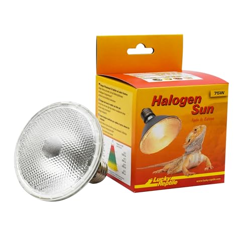 lucky-reptile-halogen-sun-w-rmestrahler-75-w-e27-terrarium-lampe image 2