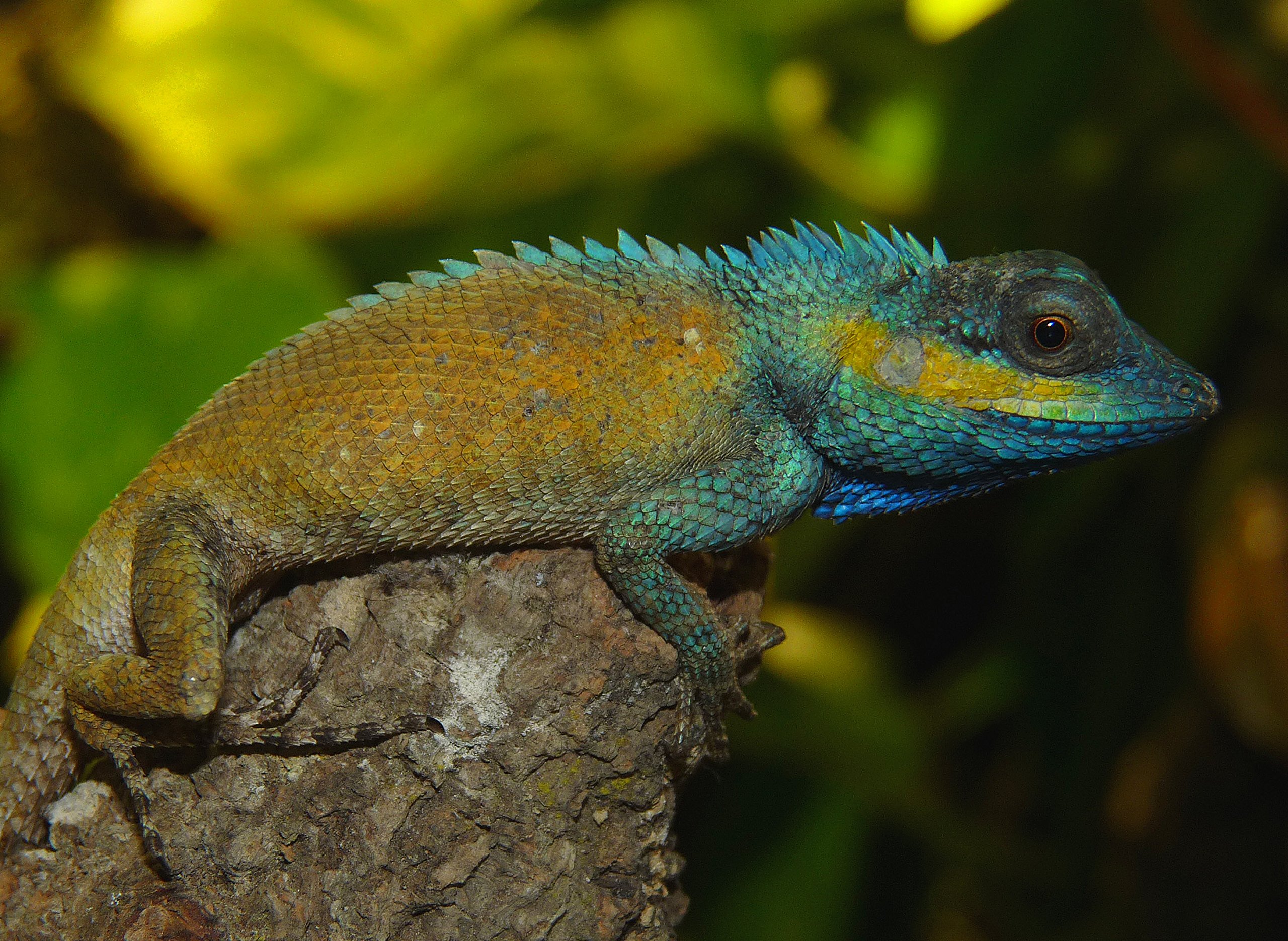 lucky-reptile-bright-sun-zoo-desert-150-watt-e27-metalldampflampe image 3