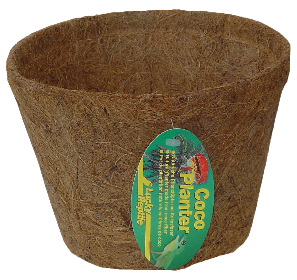 lucky-reptile-coco-planter-kokos-pflanztopf-klein image 3