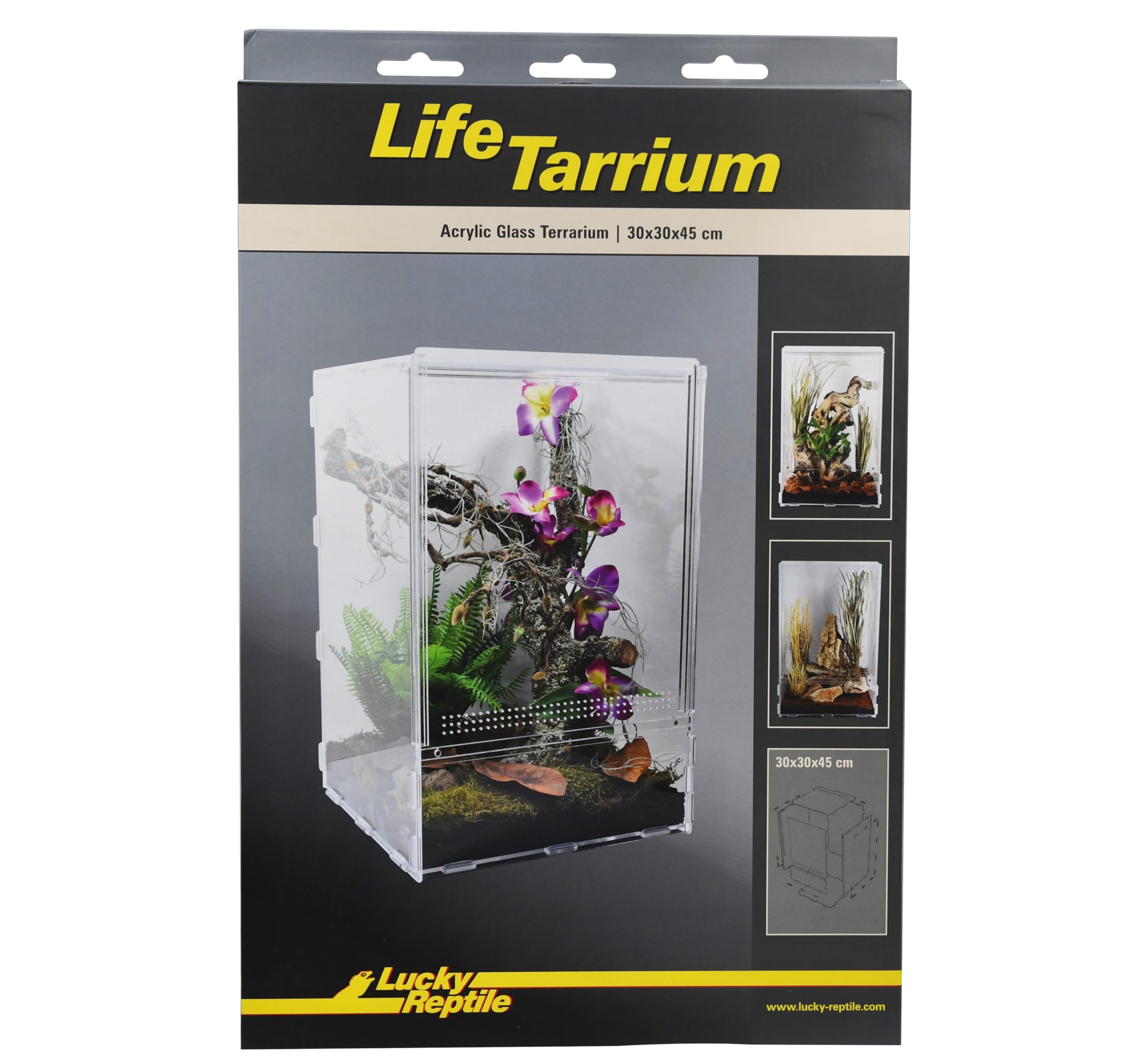 lucky-reptile-lifetarrium-terrarium-30-x-30-x-45-cm image 2