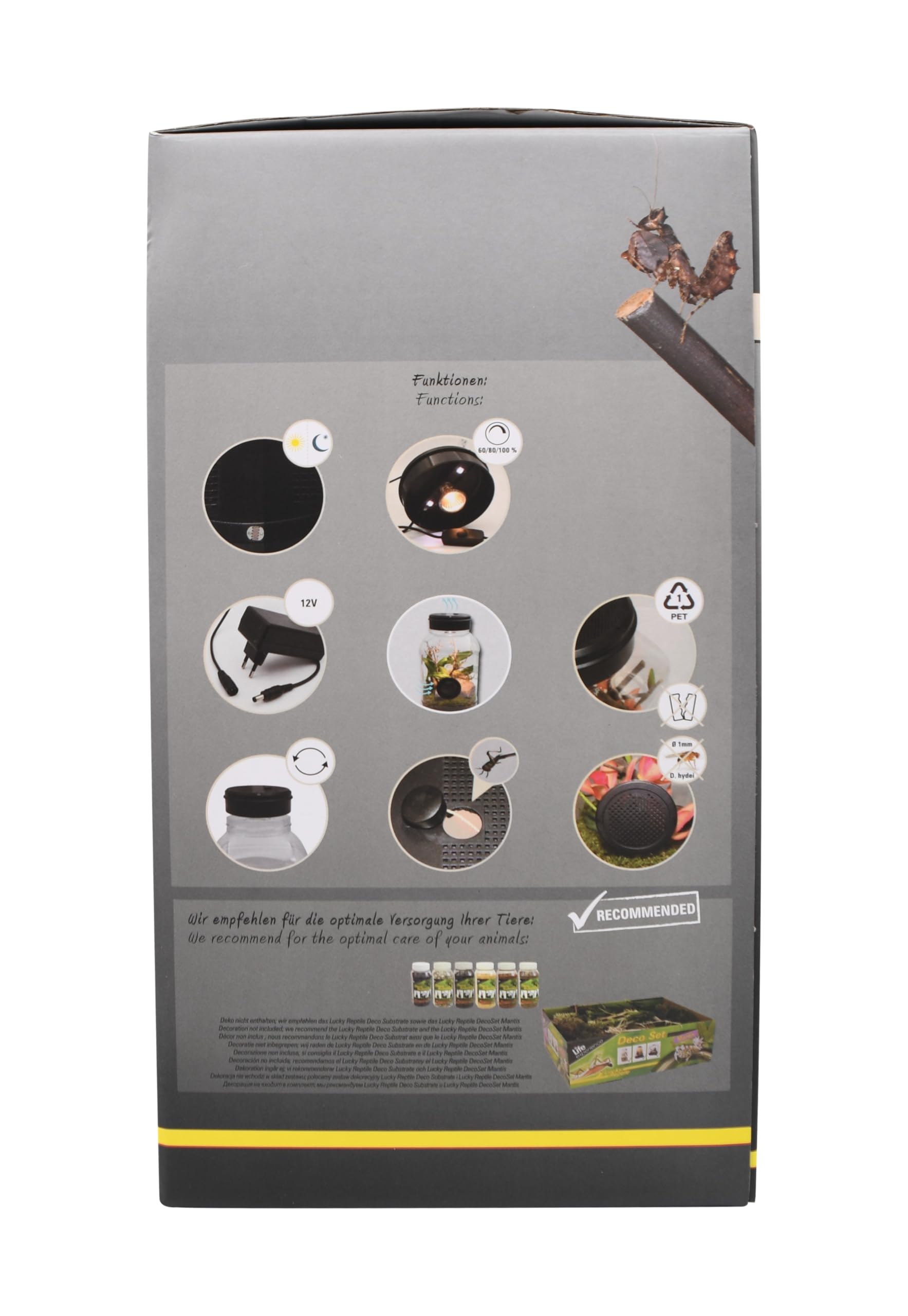 lucky-reptile-mantistarrium-kleinterrarium-18-x-18-x-35-cm-f-r-gottesanbeterinne image 3