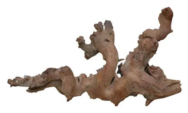 lucky-reptile-savannenholz-gro-terrarium-deko-kletterholz image 1