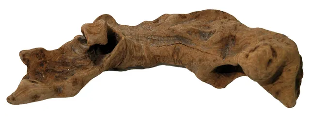 lucky-reptile-ow-s-opuwa-holz-klein-s-naturdeko-f-r-terrarium-und-aquarium image 1