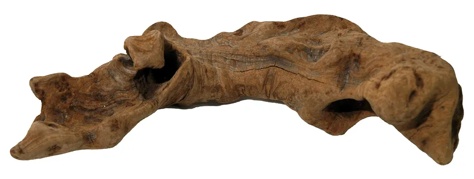 lucky-reptile-ow-s-opuwa-holz-klein-s-naturdeko-f-r-terrarium-und-aquarium image 1