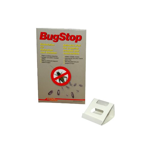 lucky-reptile-bug-stop-klebefallen-gegen-heimchen-und-schaben image 3