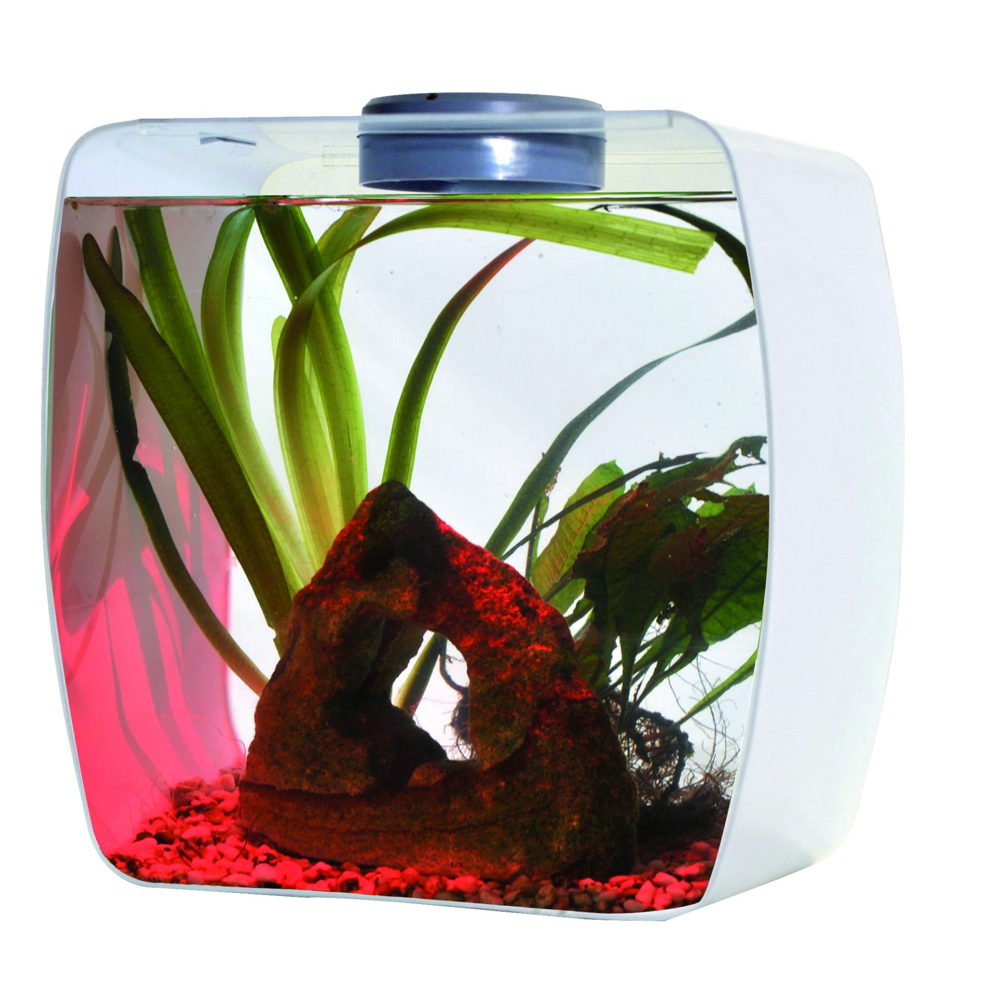 lucky-reptile-life-box-30x18x30-cm-wei-aufzuchtbox-mit-led-und-l-ftung image 3