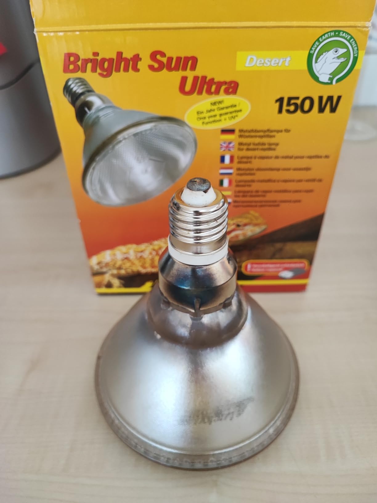 Beste Lampe für Bartagamen
