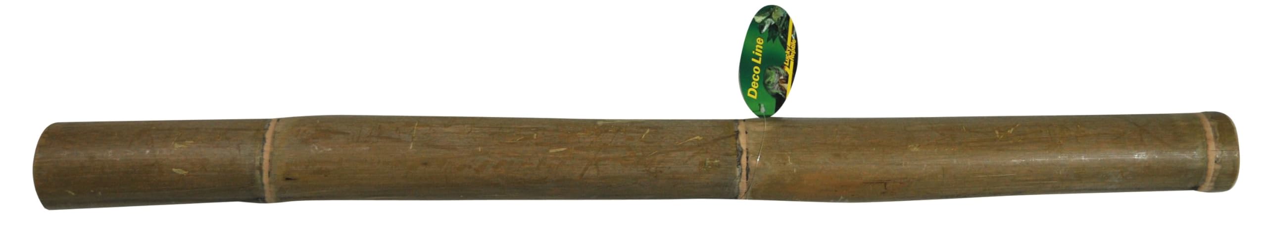 lucky-reptile-bambusstange-1-m-durchmesser-bis-5-cm-terrariendeko image 1