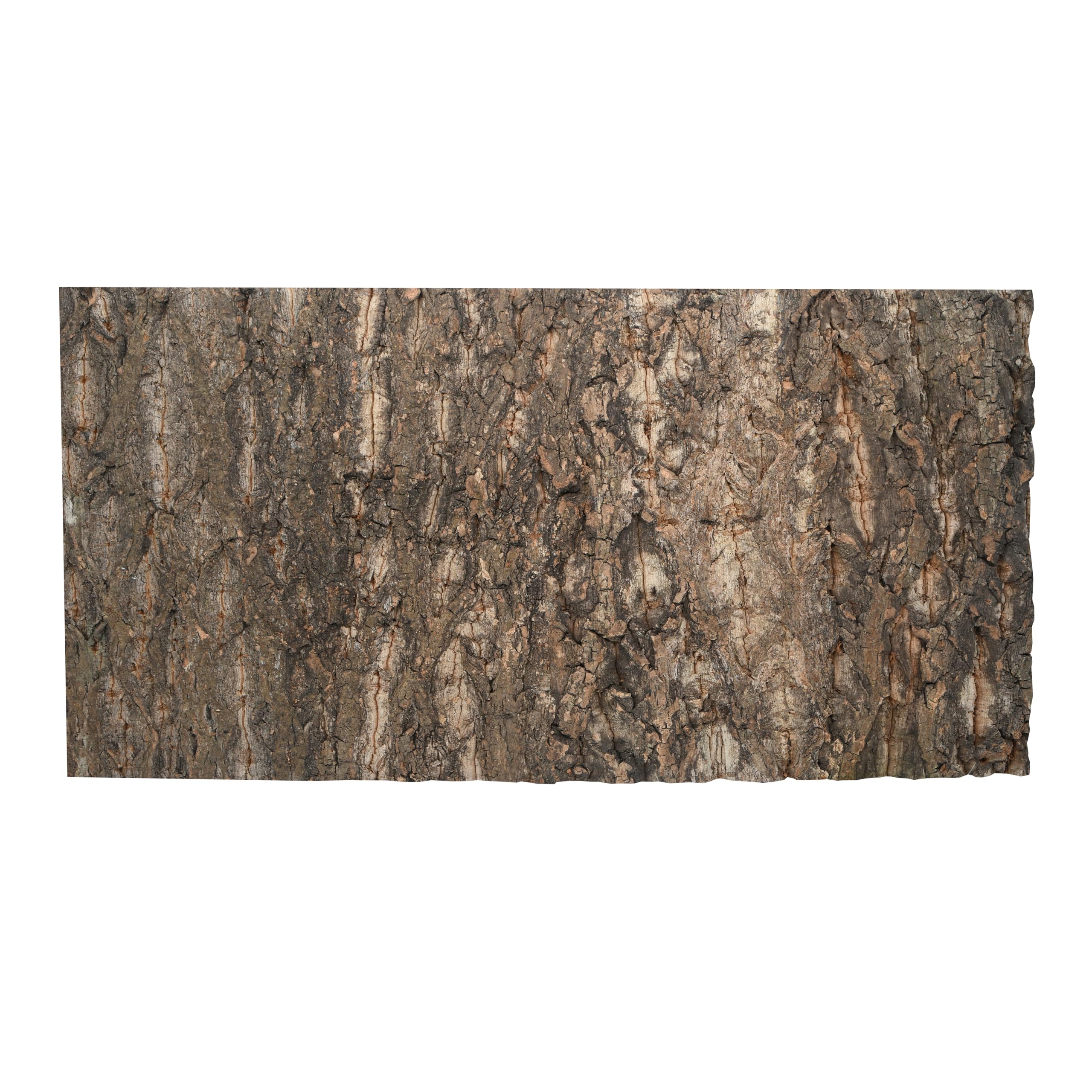 lucky-reptile-korkr-ckwand-desert-60-x-30-cm image 4